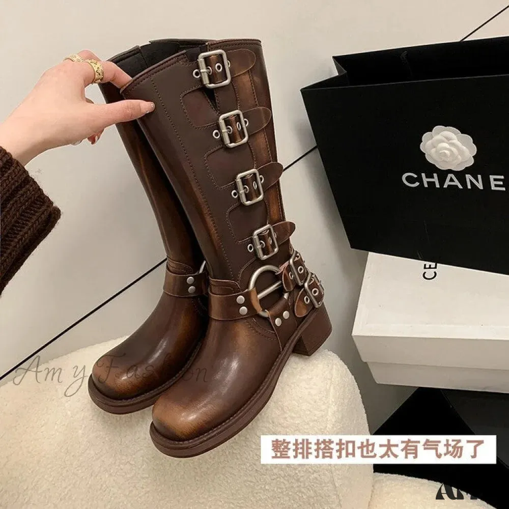 Chunky Heel Brown Martin Boots Metal Decorated Long Tube Rider Spring Autumn 2024 Women's Shoes