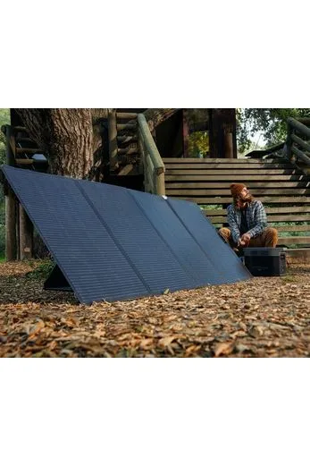 Ecoflow Delta 2 Max with 220W Solar Panel (PV220w)