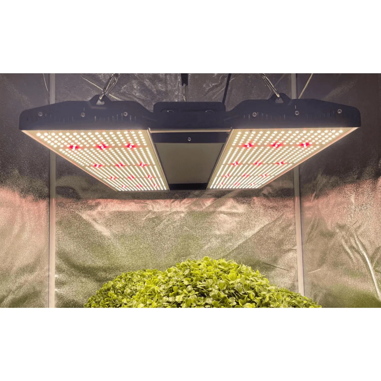 Medic Grow Mini Sun-2 240W Full Cycle LED Grow Light