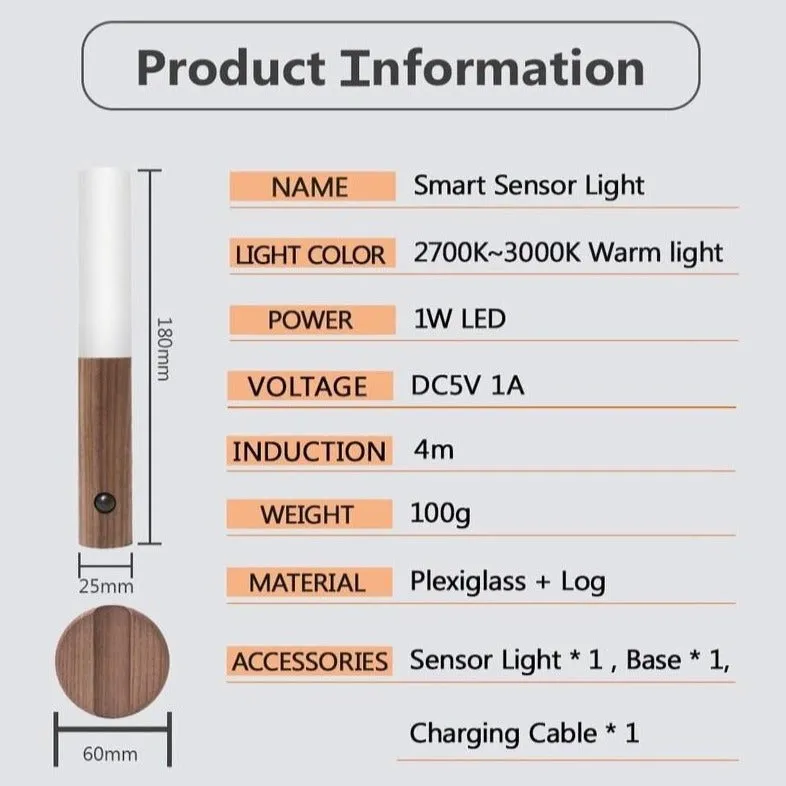 Motion Sensor Rechargeable Light